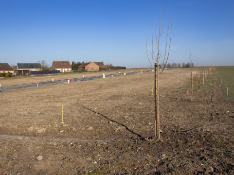 Photo : AUBIGNY AU BAC - LE CLOS DE RUBEMPRÉ